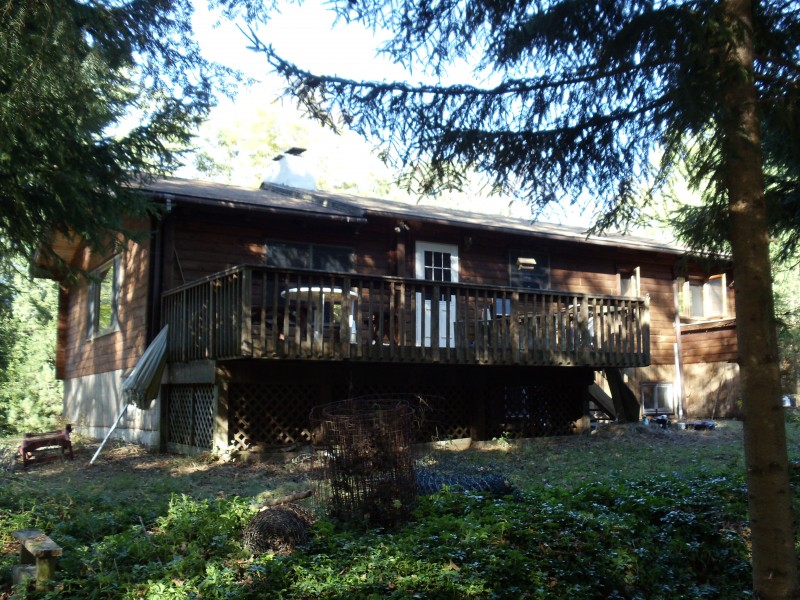 Pepacton Cabins Downsville, NY Scenic Wild Delaware River