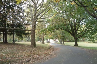 Hackett Park Easton, PA Scenic Wild Delaware River