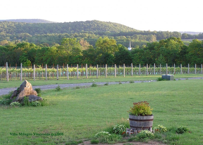 Vineyard Tours at Villa Milagro Vineyards Phillipsburg, NJ Scenic
