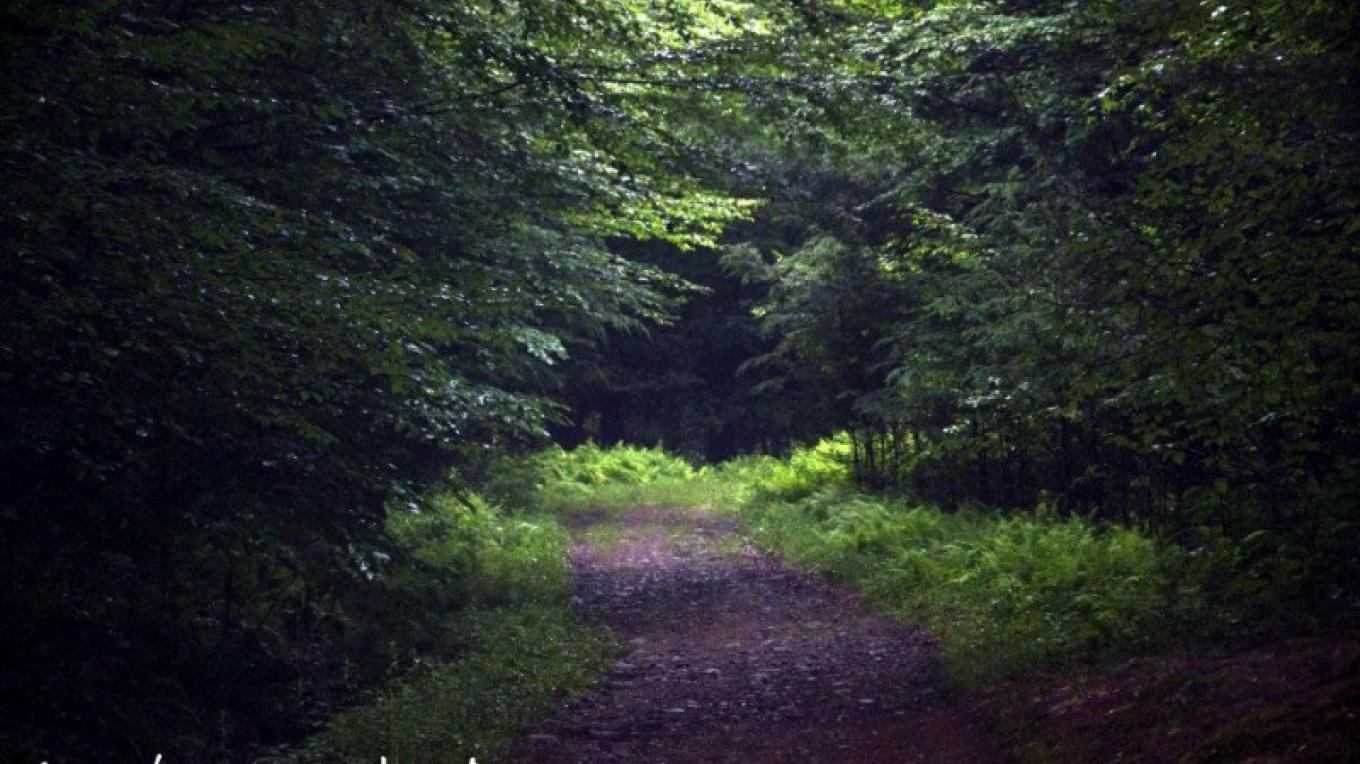 Walnut Mountain Park Liberty, NY Scenic Wild Delaware River