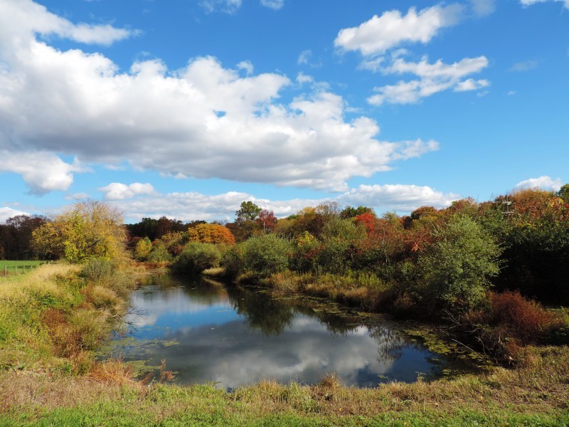 Port Murray Park Warren County, NJ Scenic Wild Delaware River