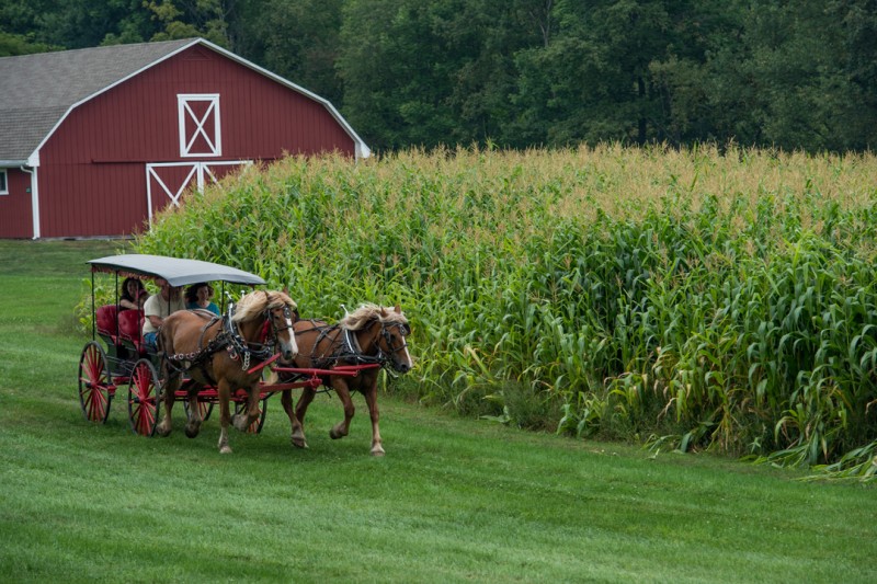 Bethel Woods Center for the Arts Bethel, NY Scenic Wild Delaware River
