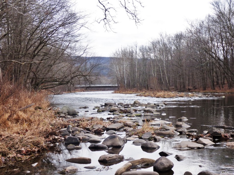 Wildlife Management and Fishing Access Areas Orange County, NY