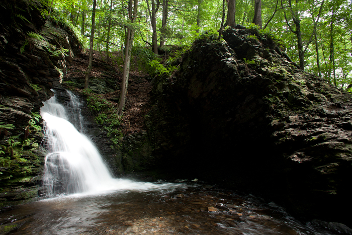Are Dogs Allowed At Bushkill Falls