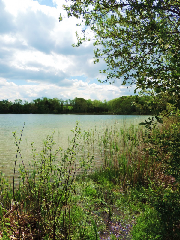 White Lake Natural Resource Area Warren County, NJ Scenic Wild