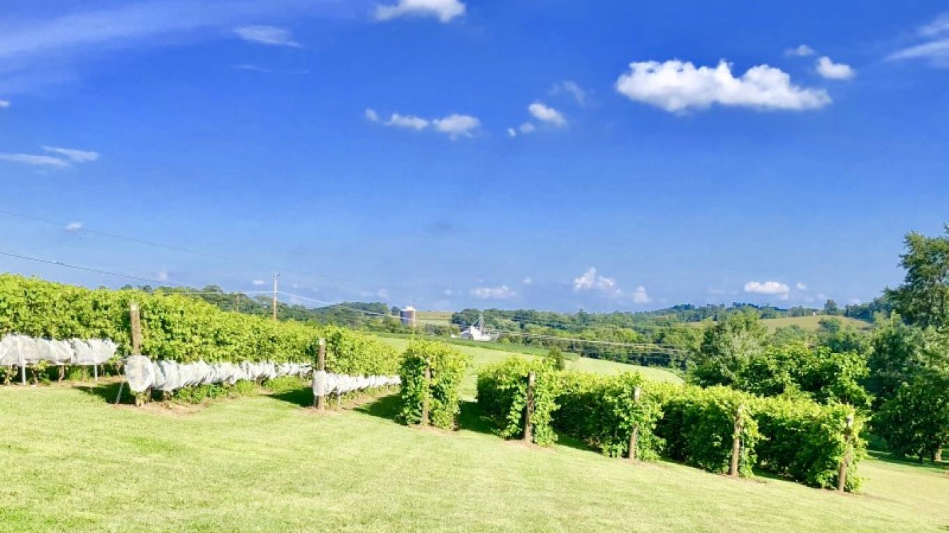 M M Vineyards Bangor Pa Scenic Wild Delaware River