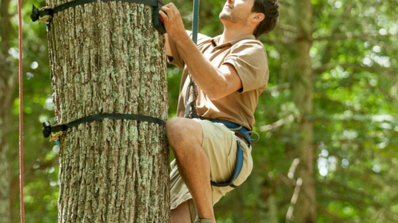 Pocono TreeVentures Aerial Ropes Adventure Course - East Stroudsburg ...