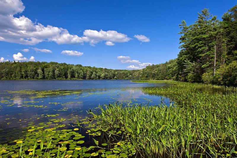 Lake Lacawac - Lake Ariel, PA | Scenic Wild Delaware River