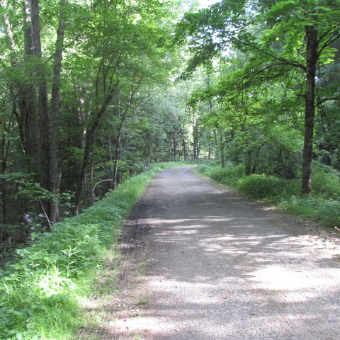 Mamakating Delaware and Hudson Canal Towpath Wurtsboro, NY Scenic