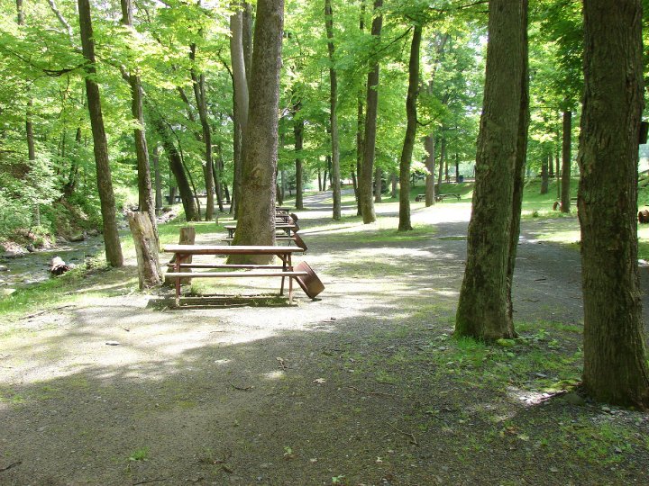 River Beach Campground PA: Your Ultimate Guide to Camping Bliss