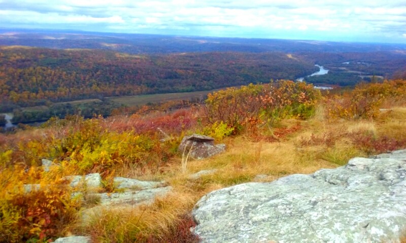 AMC Mohican Outdoor Center Blairstown, NJ Scenic Wild Delaware River