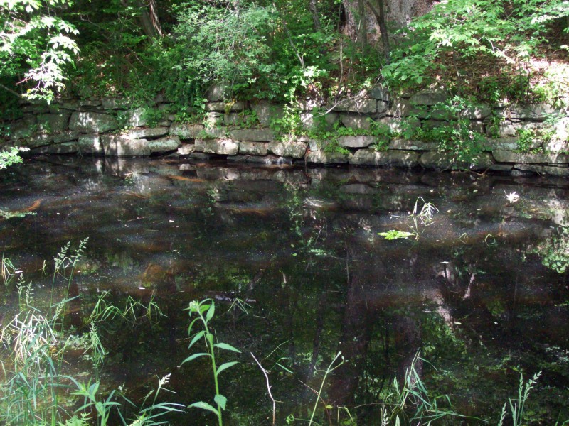 Wayne County Historical Society