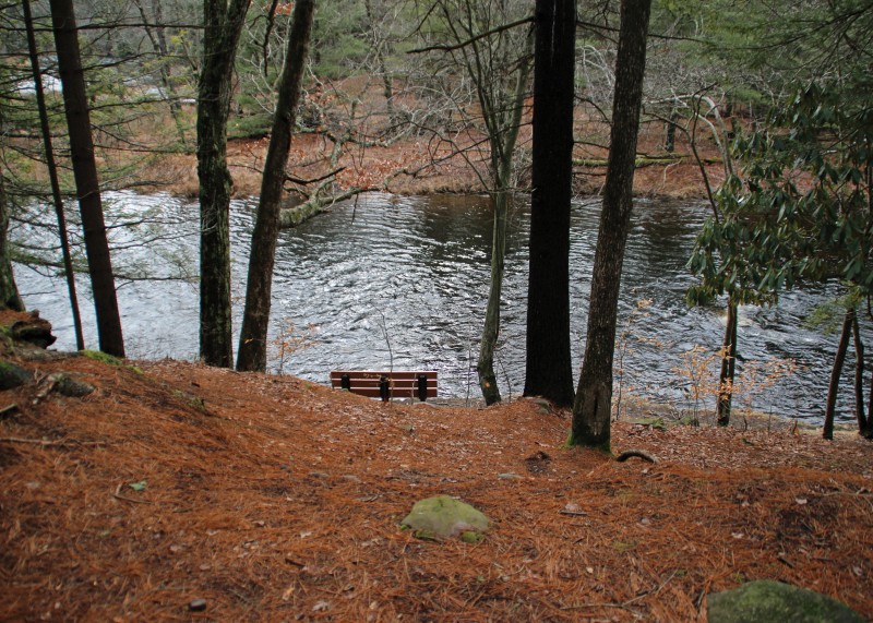 Austin T. Blakeslee Natural Area Blakeslee, PA Scenic Wild Delaware
