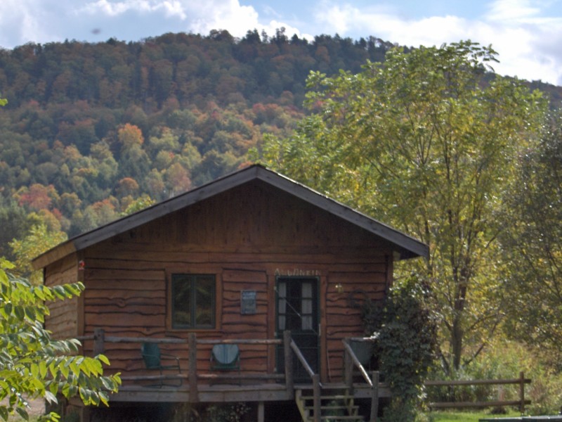Pepacton Cabins Downsville, NY Scenic Wild Delaware River