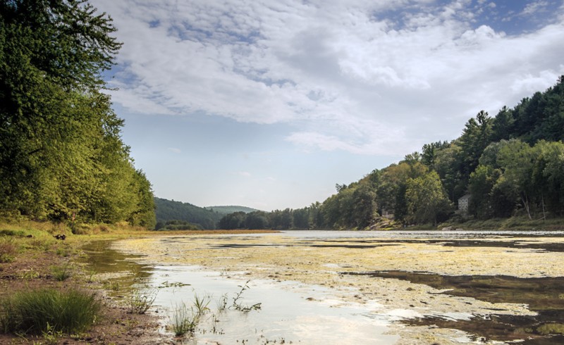 Callicoon, PA River Access Callicoon, PA Scenic Wild Delaware River