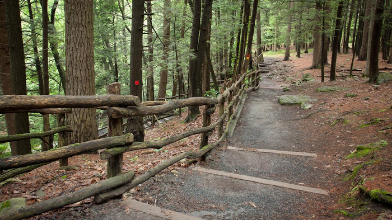 Bushkill Falls - Trails - Bushkill, PA | Scenic Wild Delaware River