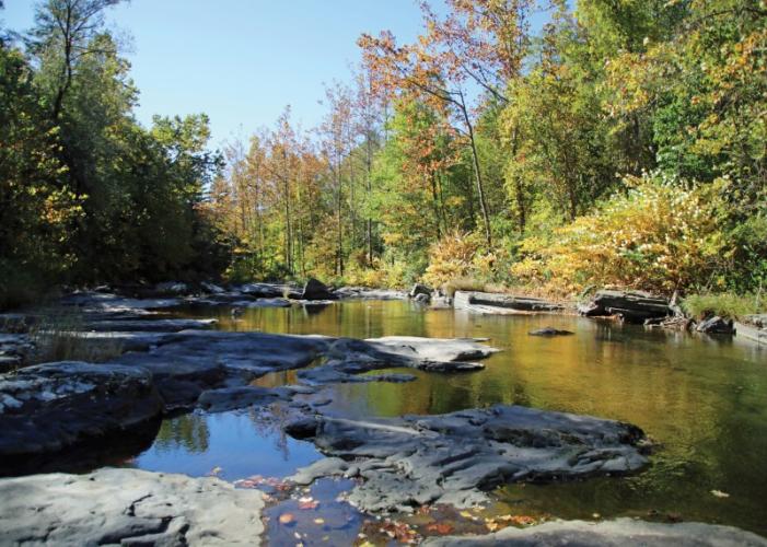 ParadisePrice Preserve Cresco, PA Scenic Wild Delaware River
