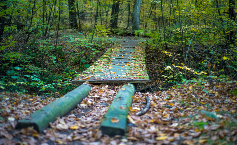 Tusten Mountain Trail Narrowsburg, NY Scenic Wild Delaware River