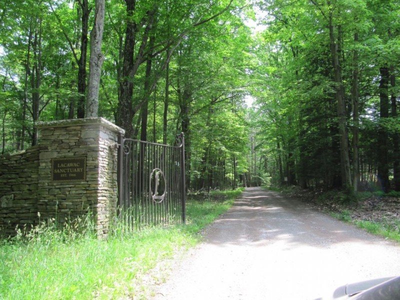 Lacawac Sanctuary and Nature Center Lake Ariel, PA Scenic Wild