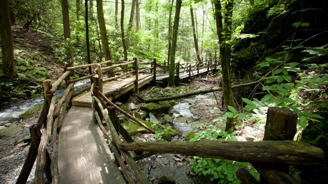 Bushkill Falls - Trails - Bushkill, PA | Scenic Wild Delaware River