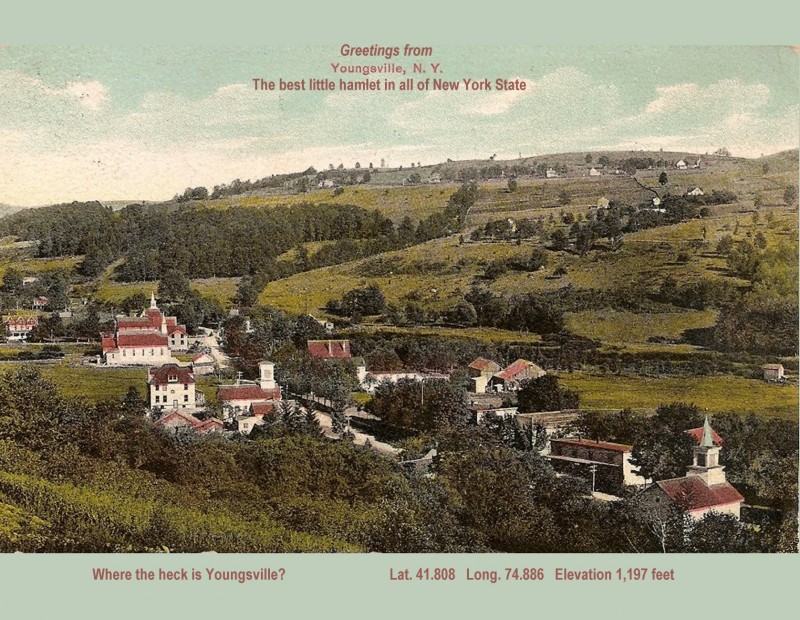 Domesticities & The Cutting Garden Youngsville, NY Scenic Wild