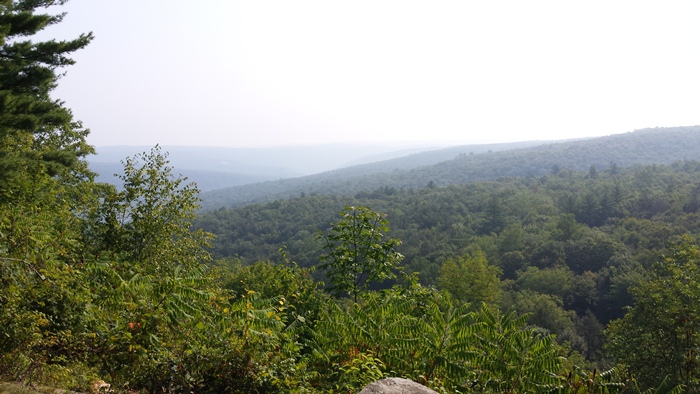 Delaware State Forest Pike County, PA Scenic Wild Delaware River