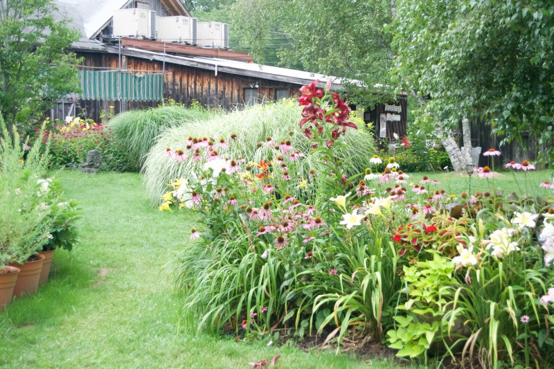 Forestburgh Playhouse Forestburgh, NY Scenic Wild Delaware River