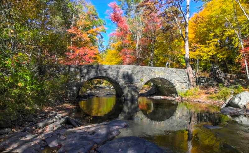 Tusten Mountain Trail Narrowsburg, NY Scenic Wild Delaware River