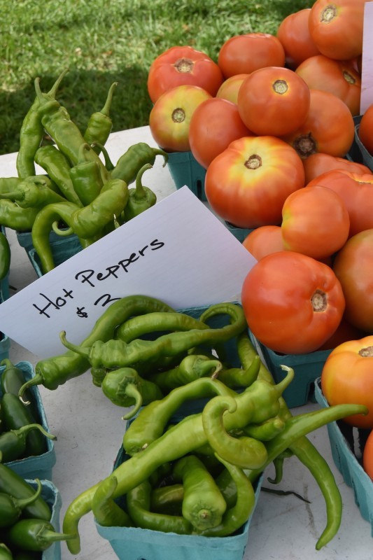 Narrowsburg Farmers' Market Narrowsburg, NY Scenic Wild Delaware River