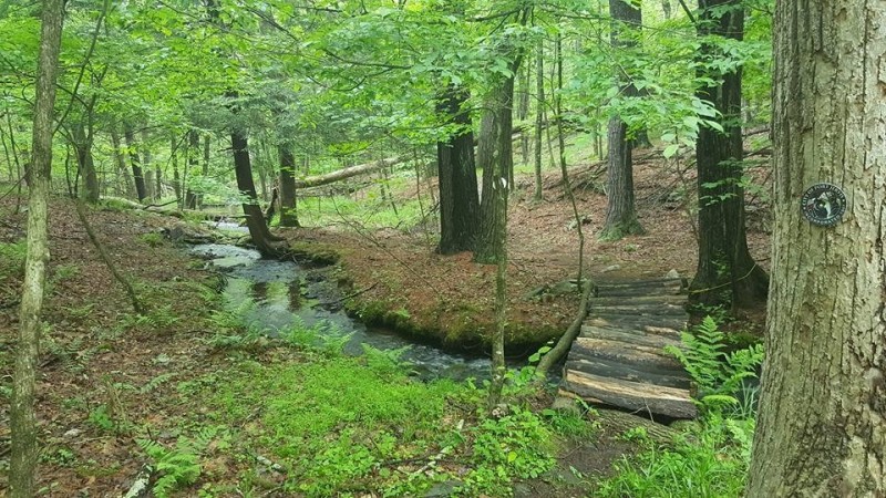 Port Jervis Watershed Trails Port Jervis, NY Scenic Wild Delaware River