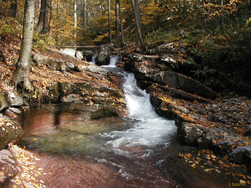 Worthington State Forest Columbia Nj Scenic Wild Delaware River