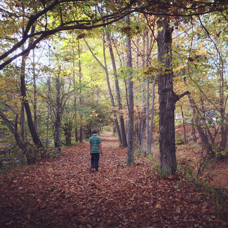 Wayne County Historical Society