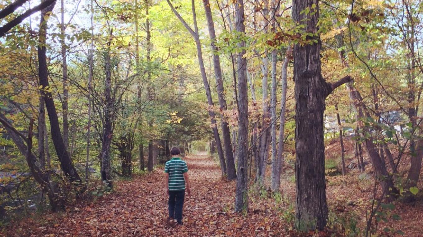 Wayne County Historical Society Wayne County Historical Society