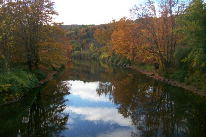 Catskill Fly Fishing Center and Museum - Livingston Manor