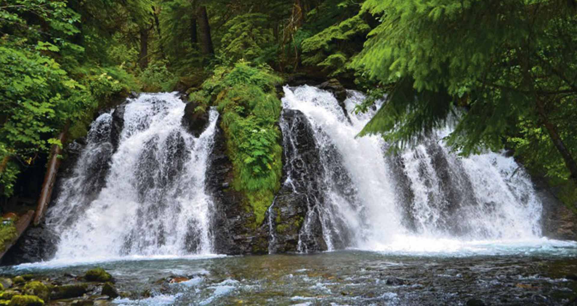 Gold Panning at Gold Creek from Juneau, Alaska 