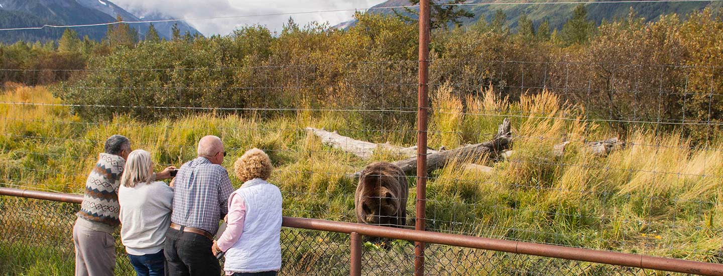 Anchorage Alaska Wildlife Day Tour