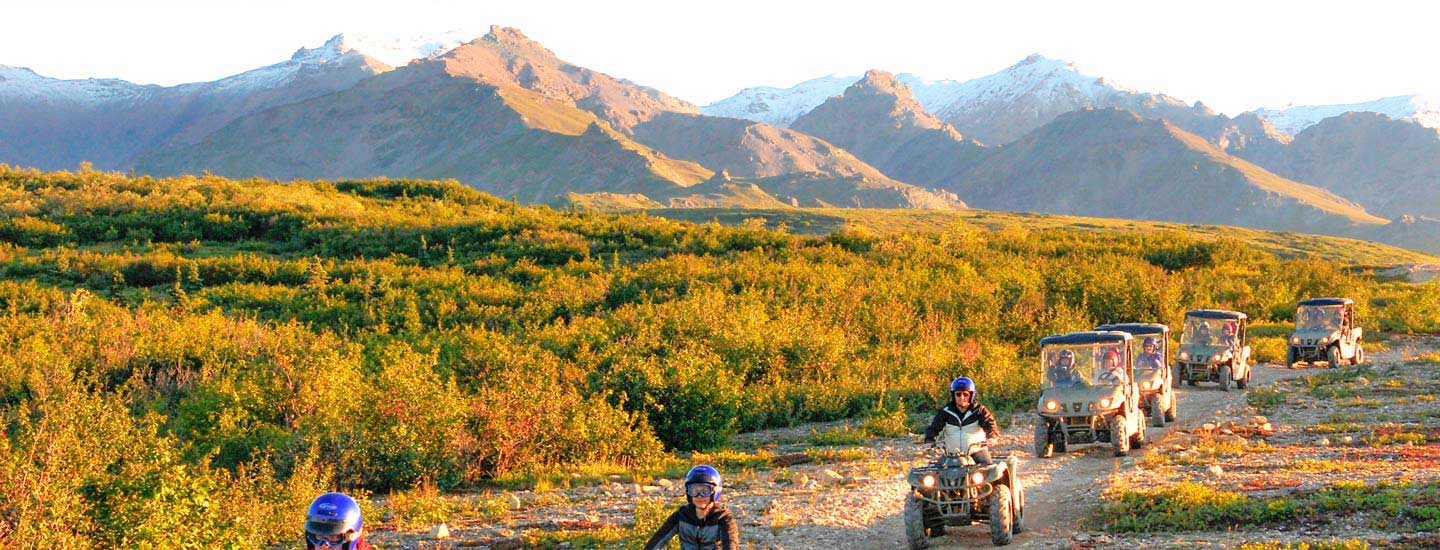 Best Denali Excursions & Tours with Denali Shore Tours