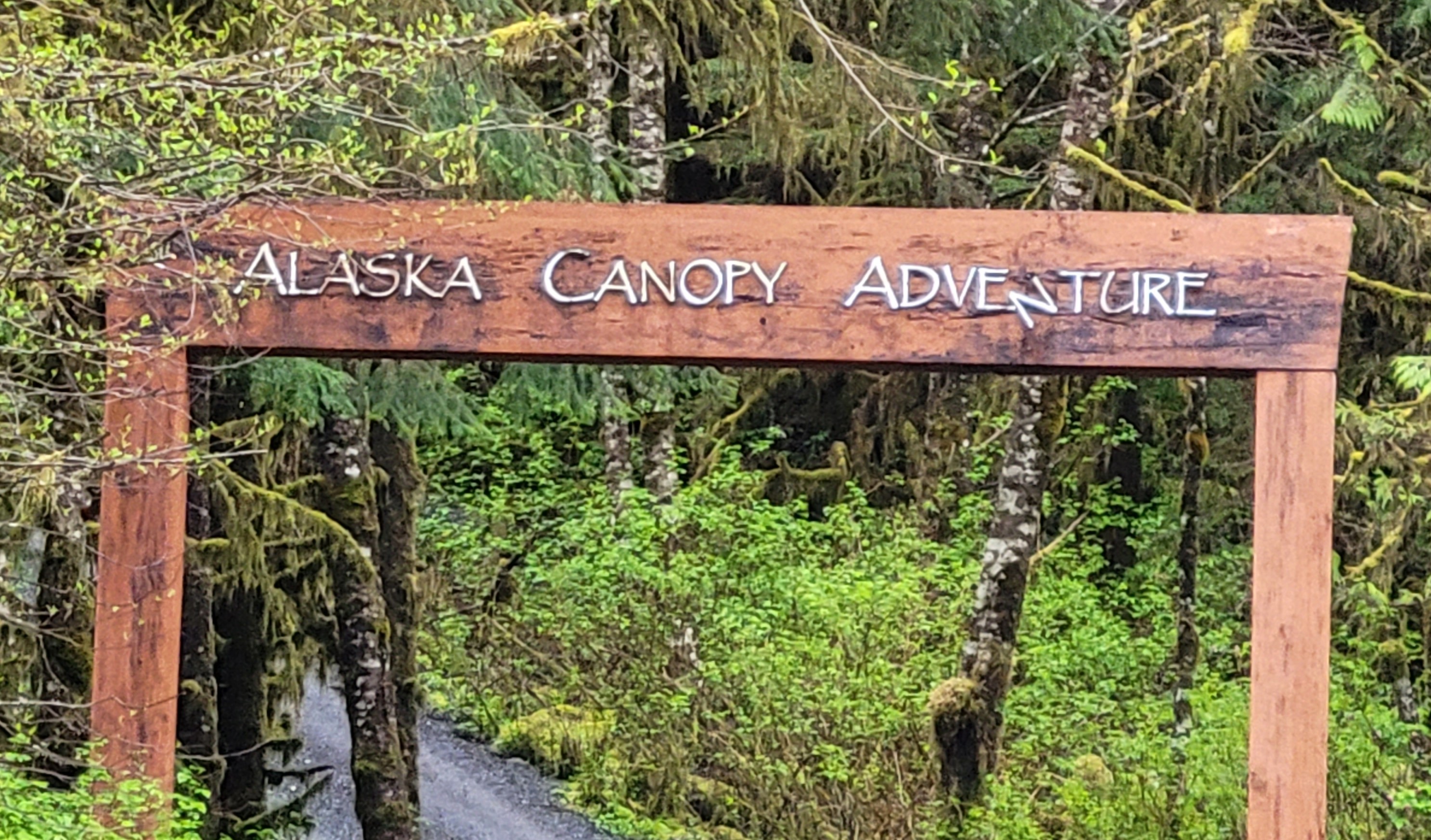 Alaska's Ultimate Canopy Expedition & Juneau Zip Line Tour