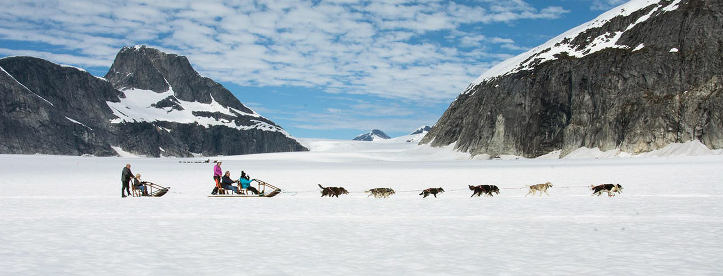 Glacier Dog Sled Adventure image