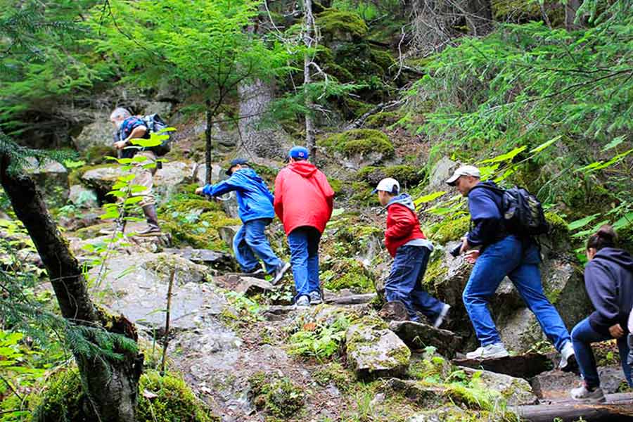 skagway shore tours promo code