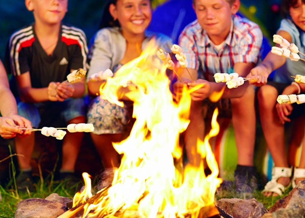 S'mores & Musher Camp image
