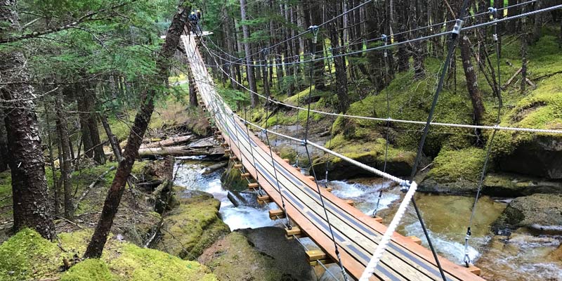 ketchikan alaska zipline tours