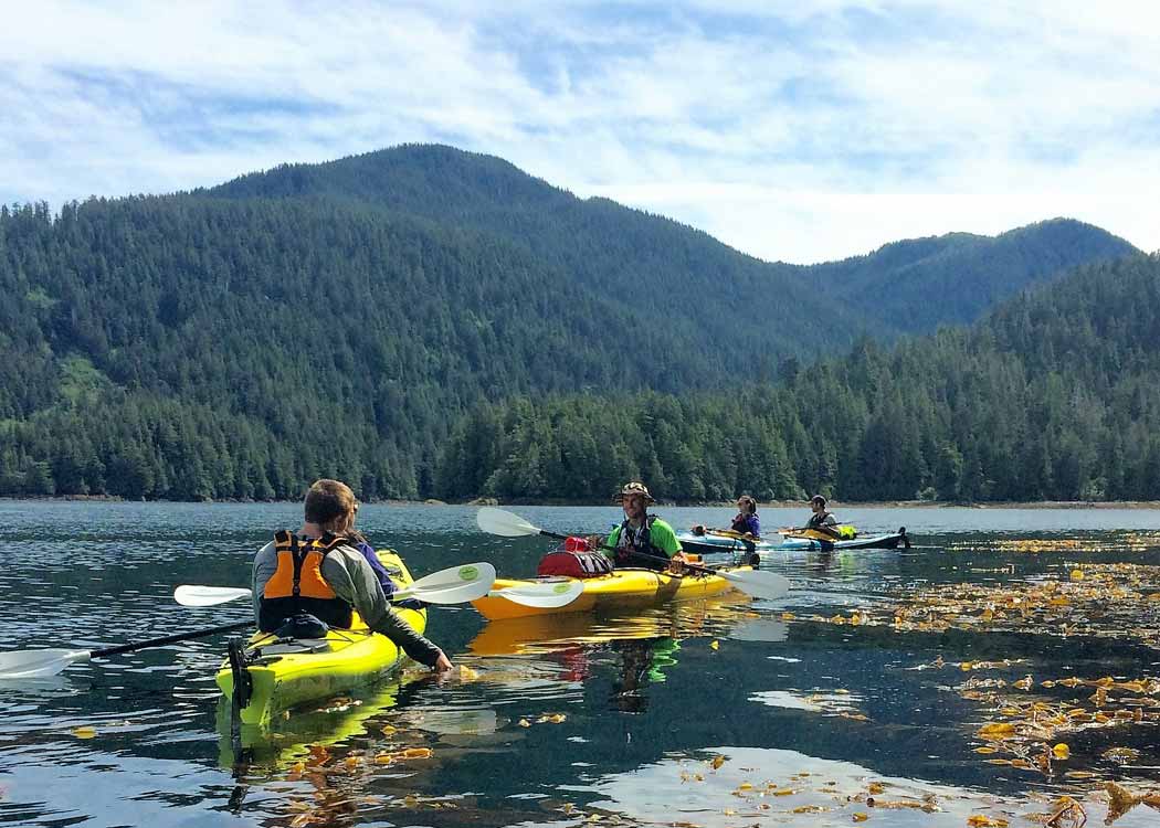 Get up close to coastal marine life on the Harbor & Islands Guided Paddle.