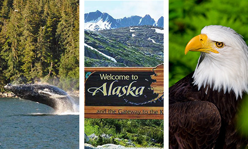 Alaska Tour Package