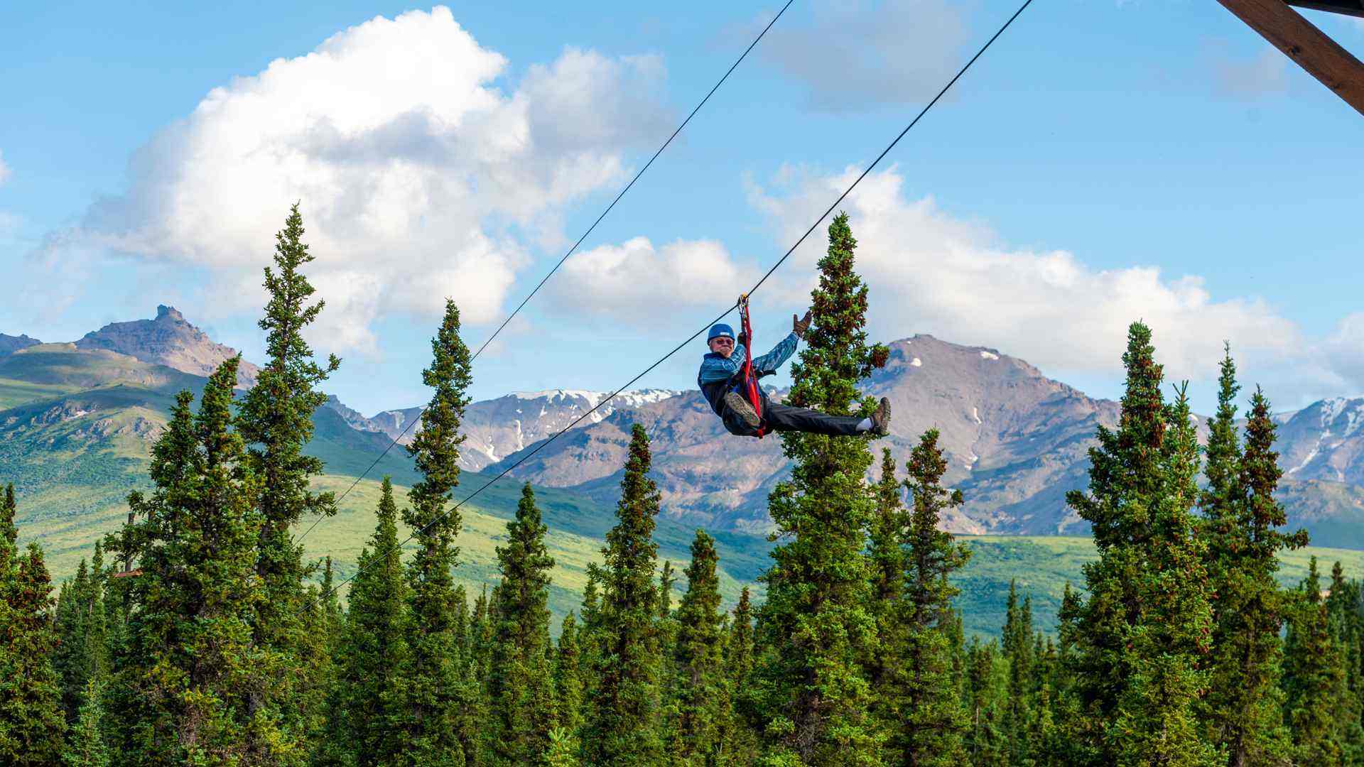 Denali Park Zipline