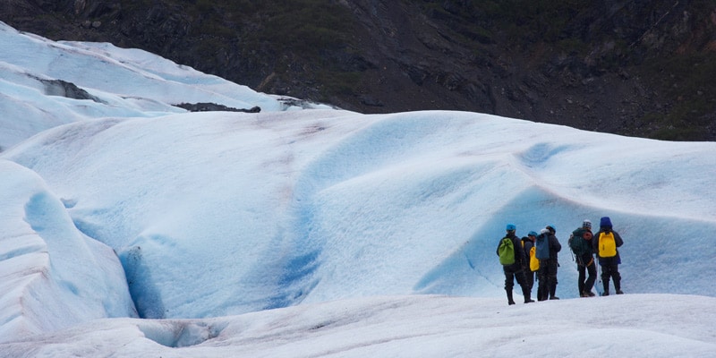 The stunning blues & immense size of the Mendenhall glacier are something you’ll surely want to capture on the tour.