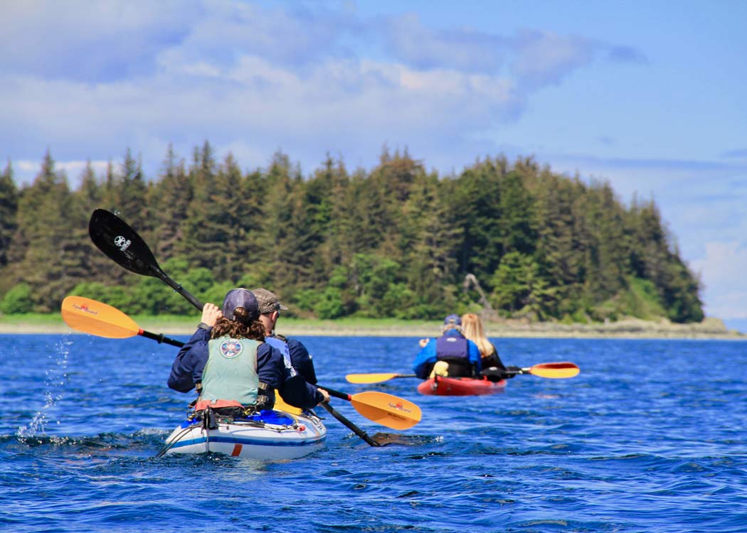 Paddle with Whales Kayak Adventure image