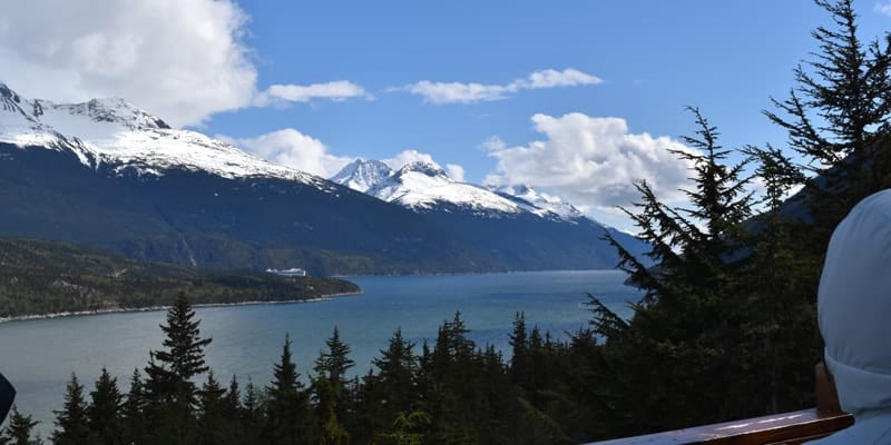 ketchikan alaska zipline tours