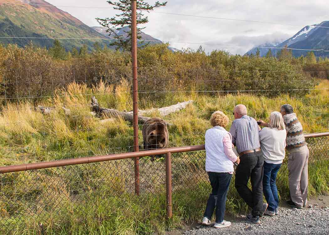 Anchorage Alaska tours for seniors