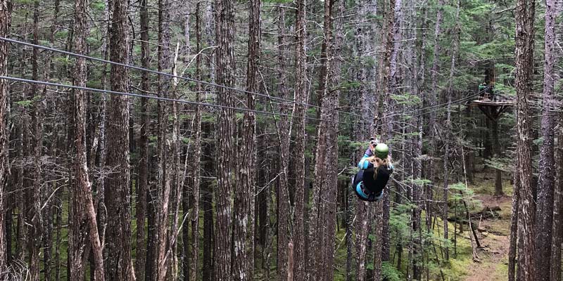 ketchikan alaska zipline tours